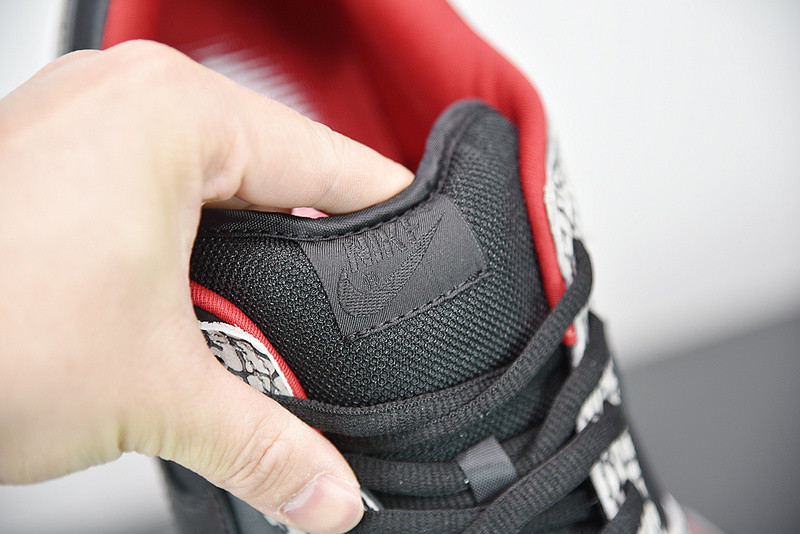 S*p*e x nike sb dunk low pro sb