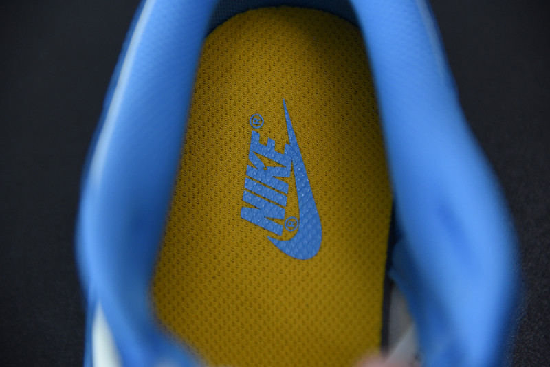 nike dunk low “coast” dd1503-100