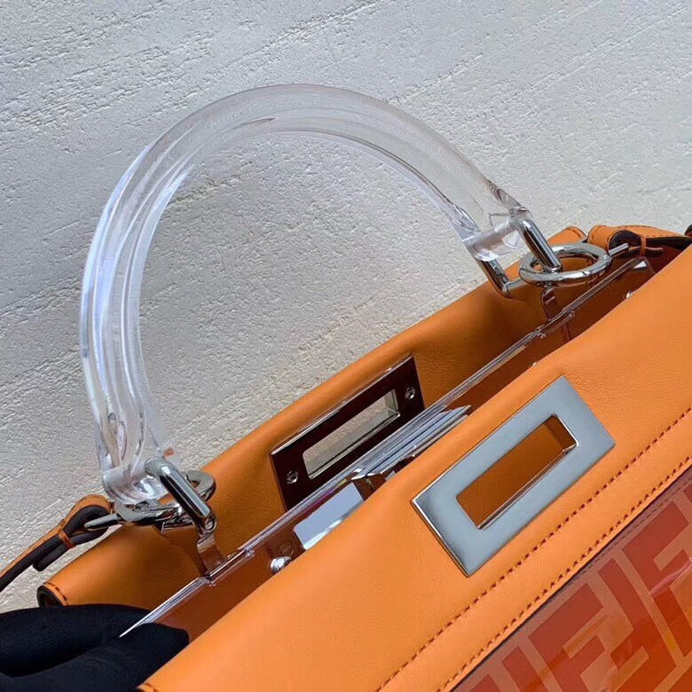 Fendi Bag