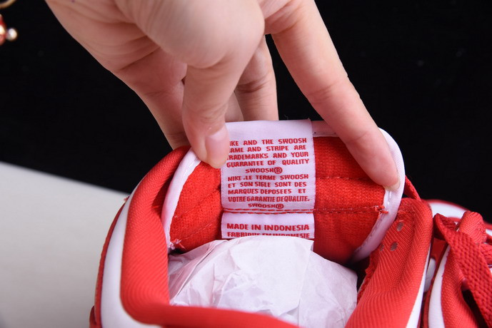 nike dunk low retro sp