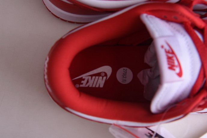 nike dunk low retro sp