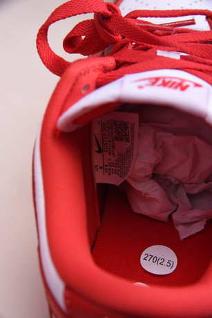 nike dunk low retro sp